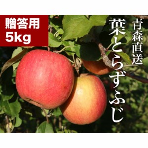 RED APPLE 青森直送 12月上旬より順次出荷 葉とらずふじ 蜜入り糖度13度 贈答用 約5kg りんご 林檎 果物 フルーツ ギフト 旬