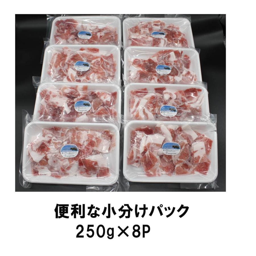 肉 豚肉 黒豚 切り落し こま切れ ウデ肉 2kg 250g×8 小分け 鹿児島