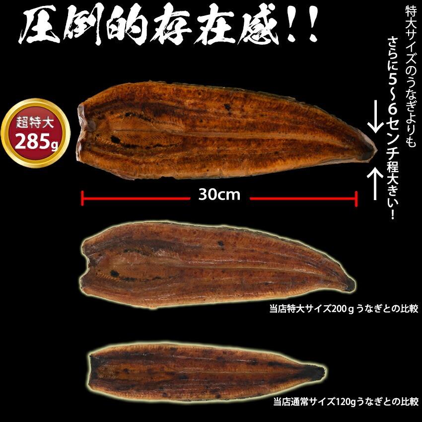 　超特大蒲焼　約250g ×1尾  　貴重な浜名湖産　産地限定　脂が乗っています♪※ご自宅用のため、のし対応できません