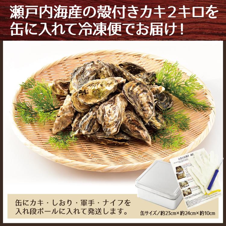 お歳暮 ガンガン焼き 海鮮 BBQセット バーベキューセット 牡蠣缶 2kg 20〜30個 かき カキ