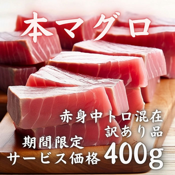 本マグロ 赤身中トロ混在 400g