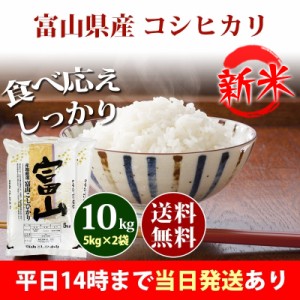 新米 米 10kg 富山県産 コシヒカリ 5kg×2袋 令和5年産 お米 10kg 送料