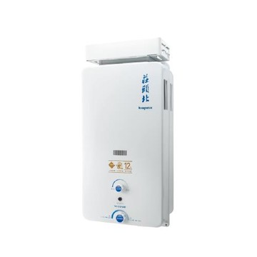 (全省安裝)莊頭北12公升抗風型(與TH-5127RF同款)RF式熱水器天然氣TH-5127ARF_NG1