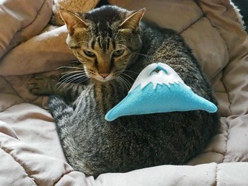 貓草包/貓草/富士山貓草/貓/富士山/貓玩具/手縫