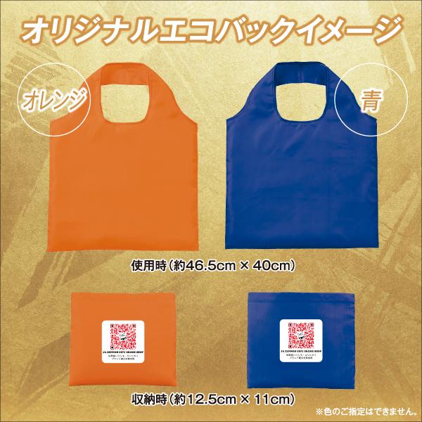 米 令和5年産 お米　20kg　コシヒカリ　岐阜県産　(5kg×4袋)　送料無料（一部地域を除く）レビュー投稿でエコバックが付く