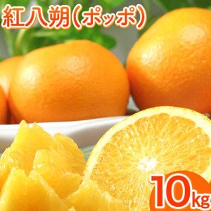 紅八朔(ポッポ) 10kg(2L-L) JA紀の里農業協同組合 《2024年3月中旬-3月末頃より順次出荷》 和歌山県 紀の川市 果物 フルーツ 柑橘 はっさく