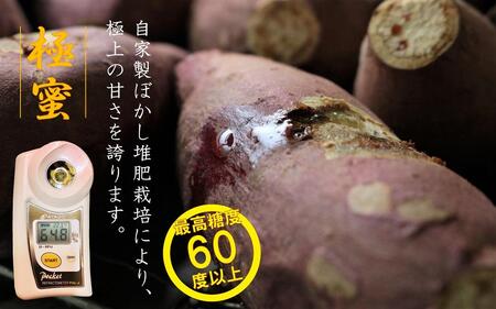 さつまいも 熟成 紅はるか3kg 1箱 Lサイズ 鹿児島県産 2024年2月末までに発送