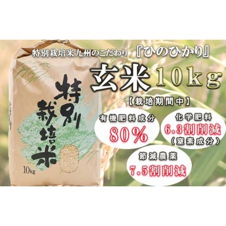 ふるさと納税 令和5年産九州のこだわり「ひのひかり」玄米10kg 長崎県諫早市