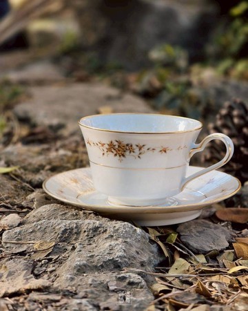 日本 Noritake 骨瓷咖啡茶杯組 杯+碟 _金邊小花款
