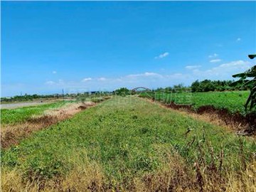 將軍保源393方正美農地｜台南市將軍區保源段​