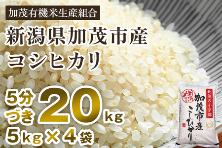 新潟県加茂市産 特別栽培米コシヒカリ 精米 20kg（5kg×4） 従来品種コシヒカリ 加茂有機米生産組合 コシヒカリ 新潟県産コシヒカリ 米 お米