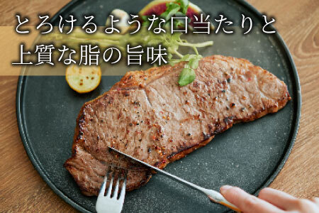 飛騨牛 ロースステーキ 400g 200g×2枚 牛肉 25000円