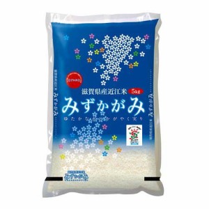 令和4年産 滋賀県産みずかがみ(5kg)[精米]