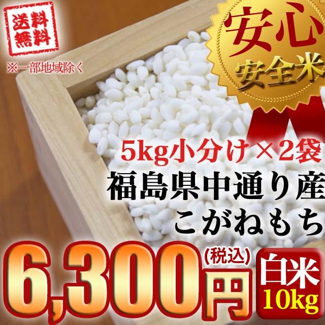 もち米 新米 お米 令和5年産 福島県中通り産こがねもち白米10kg(5kg×2個) 送料無料 ※一部地域を除く