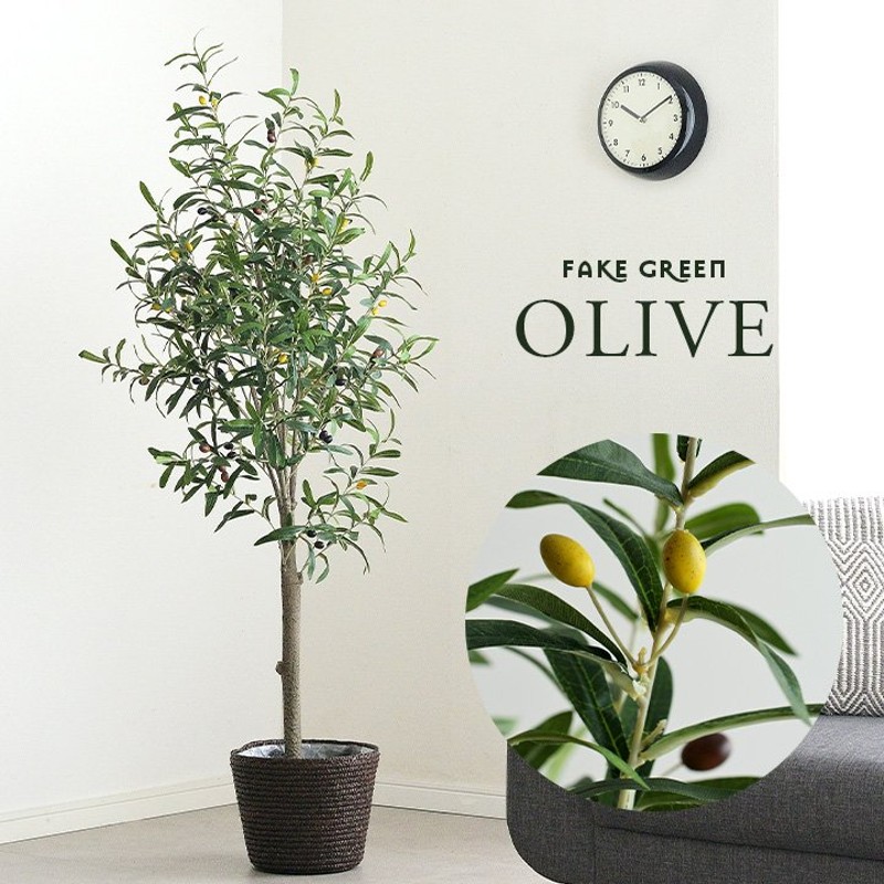 人工観葉植物 フェイクグリーン OLIVE(オリーブ) GRN-17 H152cm 人工植物 観葉植物 おしゃれ フェイク 造花 大型 グリーン  オリーブの木 インテリア 通販 LINEポイント最大0.5%GET | LINEショッピング