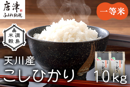 特別栽培米  唐津市天川産 こしひかり 5kg×2 (合計10kg) 減肥減農薬で育てた特別栽培米をお届け たんぱく質が少なく食味が良いお米