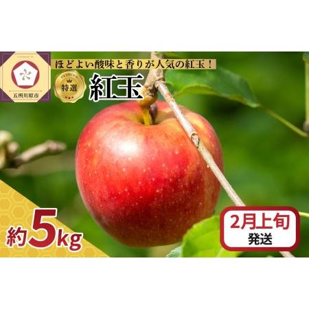ふるさと納税  りんご 5kg 紅玉 青森 青森県五所川原市