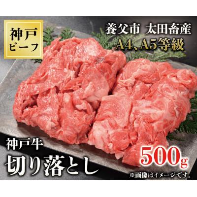 ふるさと納税 養父市 神戸牛　切り落とし　500g