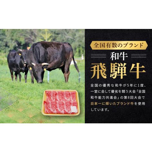 ふるさと納税 岐阜県 高山市 飛騨牛 肩ロース すき焼き用 500ｇ|国産牛 黒毛和牛 和牛 肉 ブランド 飛騨高山 飛騨農協 CP003