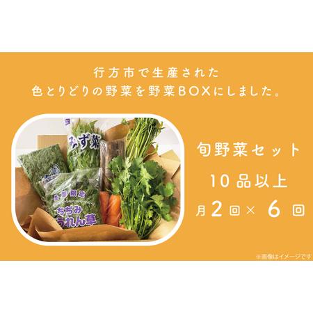 ふるさと納税 CU-141　野菜王国なめがたの野菜もりもり定期便（月２回発送） 茨城県行方市