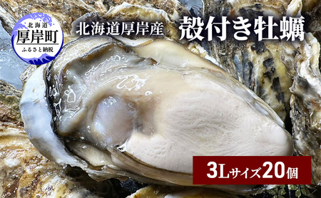 北海道 厚岸産 殻付き 牡蠣 3Lサイズ 20個