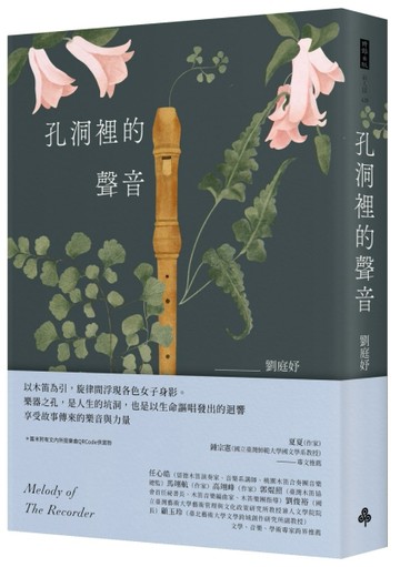 孔洞裡的聲音[二手書_近全新]