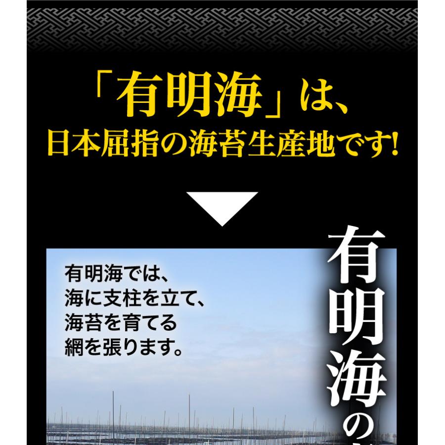 海苔 送料無料 有明海産 バラ干し海苔 2袋セット 10g入 x2袋 のり 訳あり メール便