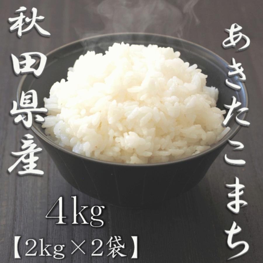 新米 秋田県産あきたこまち 2kg×2袋 合計4kg