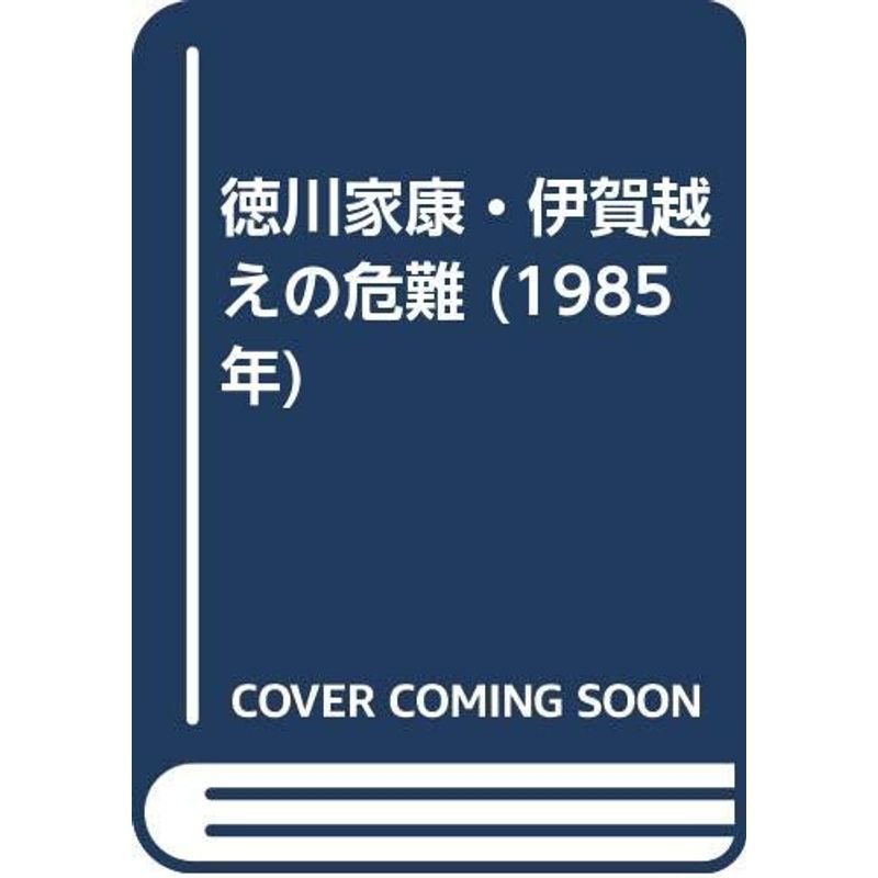 徳川家康・伊賀越えの危難 (1985年)