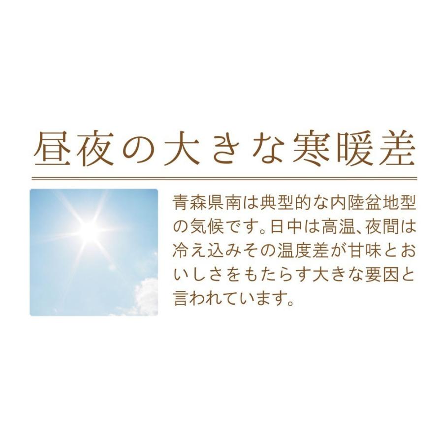 青森産 にんにく 1kg×10入 送料無料 送料発生