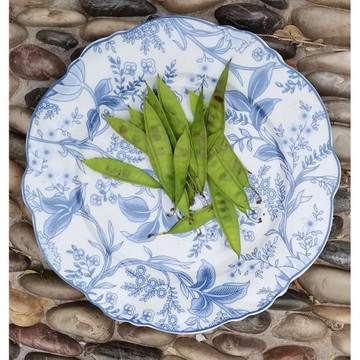 外貿尾單老貨青花陶瓷餐具牛排盤平盤湯盤沙拉碗咖啡杯碟