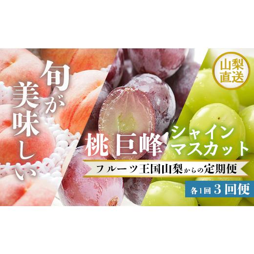 ふるさと納税 山梨県 笛吹市 数量限定 山梨の美味しい果物・フルーツを3回定期便　桃　巨峰　シャインマスカット　山梨のフルーツを詰…