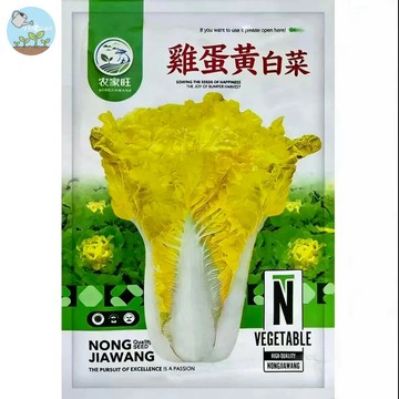 【原廠包裝】雞蛋黃白菜種子（Egg Yellow Cabbage）2克約1000粒裝 鮮甜快收臺灣可種 小白菜/青江菜