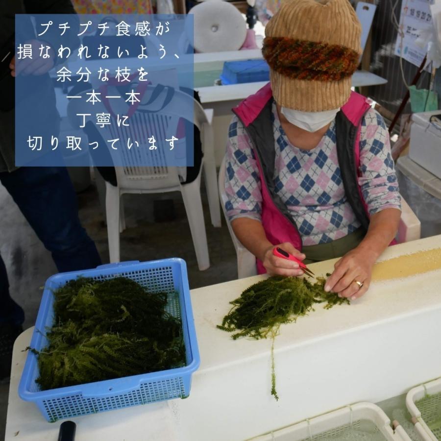 浦宜海ぶどう500ｇ