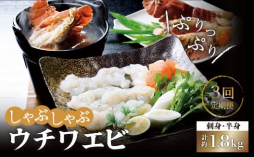 ウチワエビ しゃぶしゃぶA「刺身・半身セット」計1.8kg（約600g×3回） 平戸市   ひばり [KAA231]