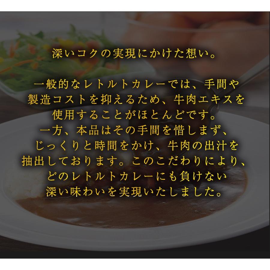 食研カレー 日本食研 1kg×12袋 欧風ビーフカレー ケース販売 業務用 大容量 レトルト 徳用