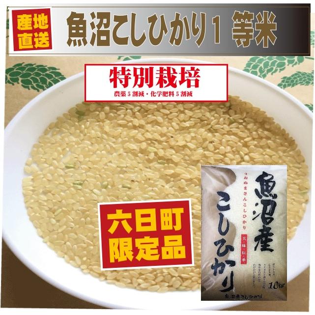 令和4年　玄米10k　送料無料　特別栽培米みなみ魚沼こしひかり