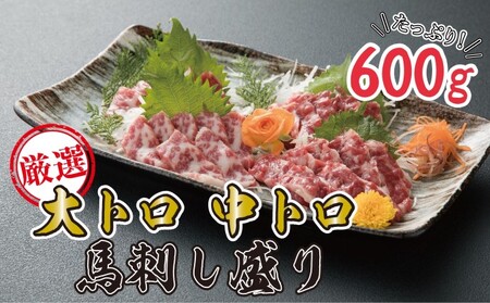 数量限定 馬刺し 大トロ 中トロ 600g 豪華絢爛 食べ比べ セット 馬刺 盛り 馬肉 肉 お肉 冷凍