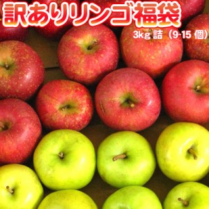 りんご 訳あり 福袋 3kg 青森もしくは北海道産 リンゴ 送料無料※沖縄は送料別途加算