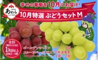 10月特選 ぶどうセットM 1kg以上（2～3房）／ 葡萄 シャインマスカット 完熟 ゴールデン シャイン 品種 おまかせ あわら 農家おすすめ ※2024年10月より順次発送