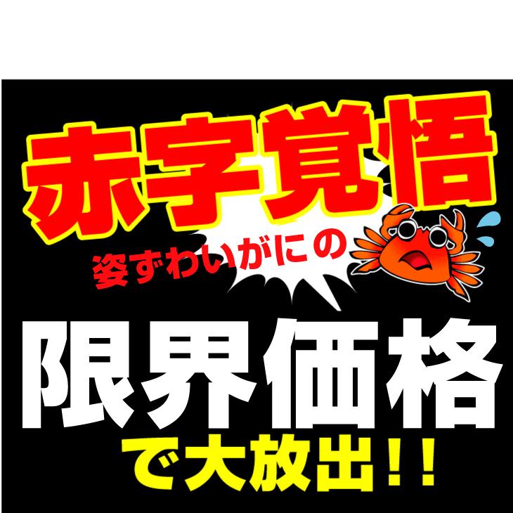 かに 大特価 ボイルずわいがに 姿 1尾 500g前後 蟹 カニ 送料無料 冷凍便 食品