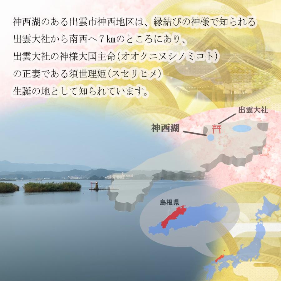 島根県産　炭焼き天然うなぎ　蒲焼と白焼きセット　お歳暮　お年賀　２尾　ギフト　国産　誕生日　内祝い　お取り寄せ　ランキング