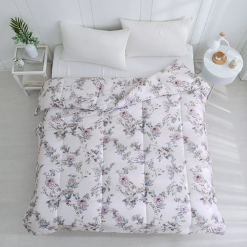 水洗被 6x7雙人 雲朵暖綿抗菌水洗冬被 [鴻宇]安葛絲