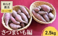 和らぎ農法　ほっこり便　さつまいも編　2.5kg