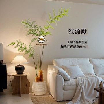 免運 附發票 公司貨 仿真植物 假樹 裝飾綠植 人造樹 仿真綠植猴頭蕨室內陽臺家居軟裝新款落地仿生植物盆栽裝飾擺件工廠現貨直銷 店長新品推薦 售後保障 全館折扣 5F1024