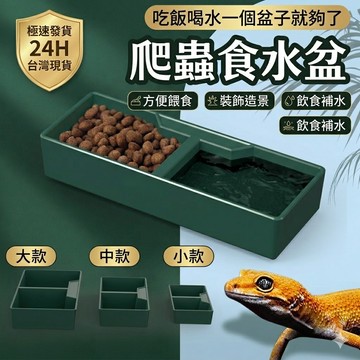 陸龜驛站｜爬蟲食盆 水盆 守宮 鬆獅蜥蜴  兩棲角蛙烏龜蛇麵包蟲大麥蟲皮防逃脫豹紋肥尾爬寵 蜘蛛