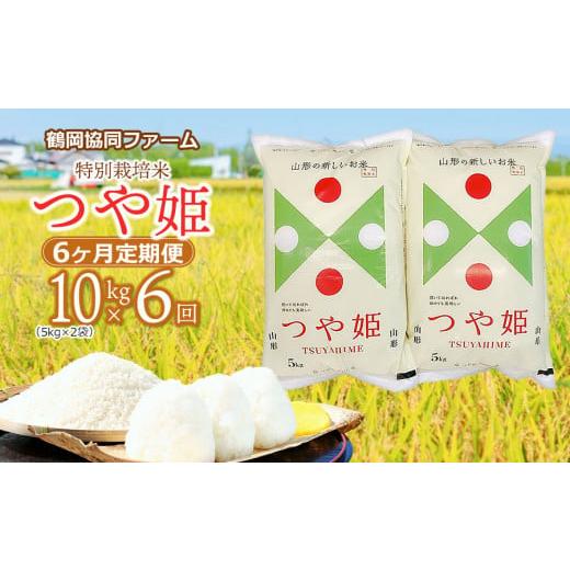 ふるさと納税 山形県 鶴岡市 特別栽培米つや姫 10kg (5kg×2袋)×6ヶ月　鶴岡協同ファーム