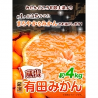 ＜先行予約＞厳選　蔵出みかん4kg 120g（傷み補償分） 池田鹿蔵農園@日高町(池田農園株式会社)《1月中旬-3月中旬頃より順次出荷》和歌山県 日高町