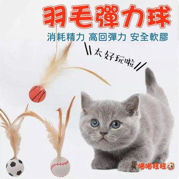 【喵喵旺旺L055台灣發貨】羽毛彈力球 玩具橡膠球 貓玩具 羽毛玩具 彈力球玩具 貓咪玩具 跳跳球 彈跳球