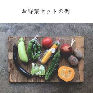 京都市産お野菜セット＋無添加惣菜8パックセット